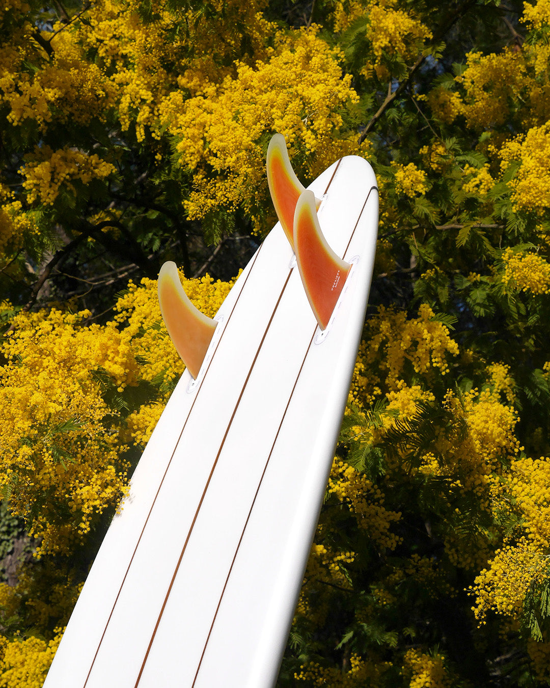 Surfin Estate fins range
